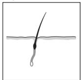 REMINGTON IPL4000 - ITALIANO - 2