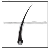 REMINGTON IPL4000 - ENGLISH - 1