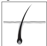 REMINGTON IPL4000 - PORTUGUES - 1