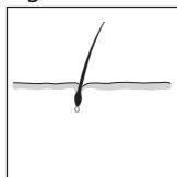 REMINGTON IPL6000 I-LIGHT PRO - PORTUGUES - 3