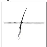 REMINGTON IPL6000 I-LIGHT PRO - PORTUGUES - 2