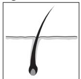 REMINGTON IPL6000 I-LIGHT PRO - FRANÇAIS - 1