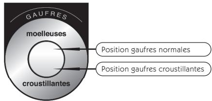 LAGRANGE 019622 - CHARACTERISTIQUES - 1