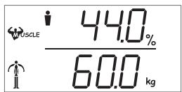 BALANCE MUSCLE MASS AND WATER ANALYSIS SCALES - Warnung! - 3