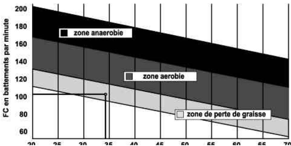 CARE FITNESS 55505 - Definizione della propria Area di lavoro: - 1