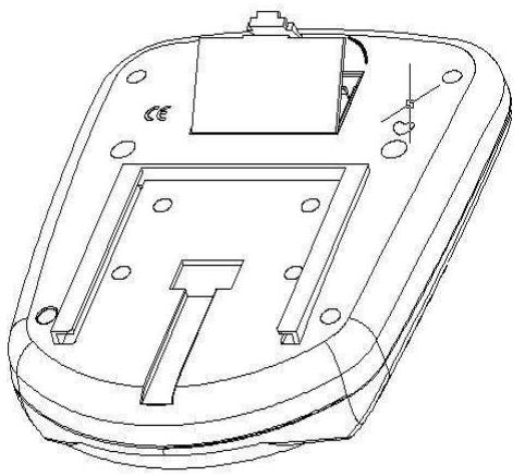 CARE FITNESS ALPHA II 50503 - Come sostituire le batterie: - 1