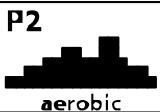 CARE FITNESS RAMEUR - 2