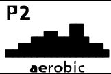 CARE FITNESS RAMEUR - PROGRAMA - 2