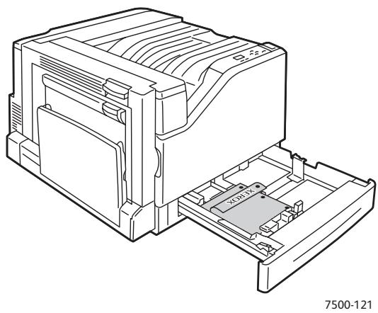 XEROX PHASER 7500 - Alimentation de bord long - 1