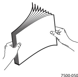 XEROX PHASER 7500 - Alimentation à bord court - 2