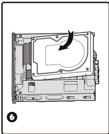 PEEKTON PEEKBOX 100 - Installation du disque dur (Suite) - 3