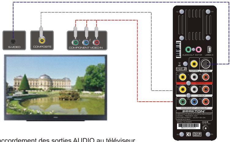 PEEKTON PEEKBOX 100 - Raccordement des sorties VIDEO au téléviseur - 1