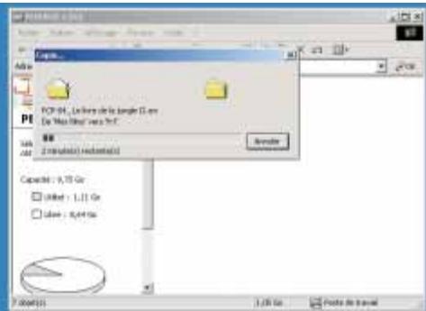 PEEKTON PEEKBOX 4 MKII - Transférer vos fichiers de votre PC à votre PEEKBOX 4 MKII (suite) - 2