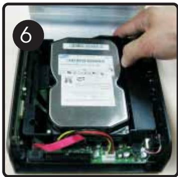 PEEKTON PEEKBOX 4 MKII - Disque dur SATA - 1