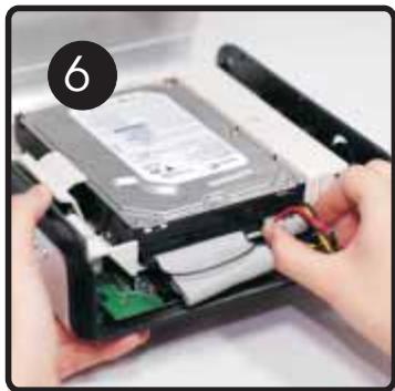 PEEKTON PEEKBOX 4 MKII - Disque dur IDE - 1