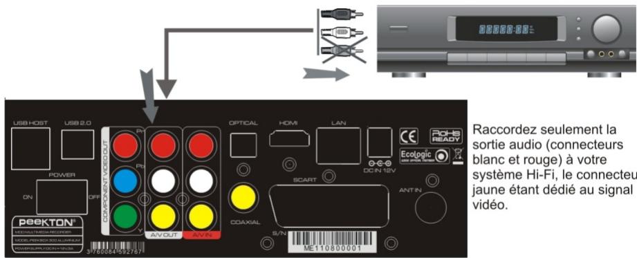 PEEKTON PEEKBOX 300 - Connexion audio analogue - 1