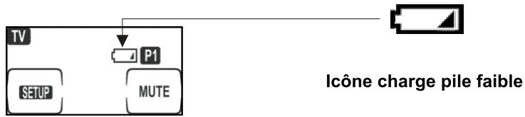 PEEKTON IR 700 - Indicateur de charge des piles - 1