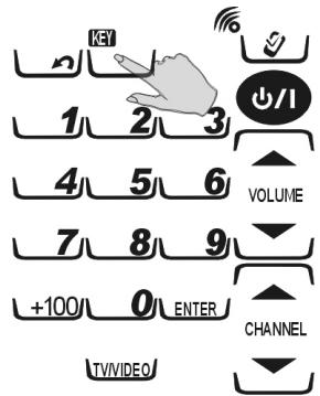 PEEKTON IR 900 - Suppression des codes de touche et des codes de l'appareil (Delete) - 1