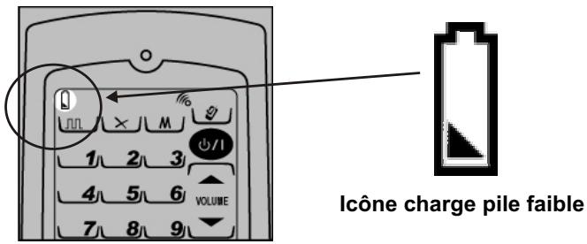 PEEKTON IR 900 - Indicateur de charge des piles - 1