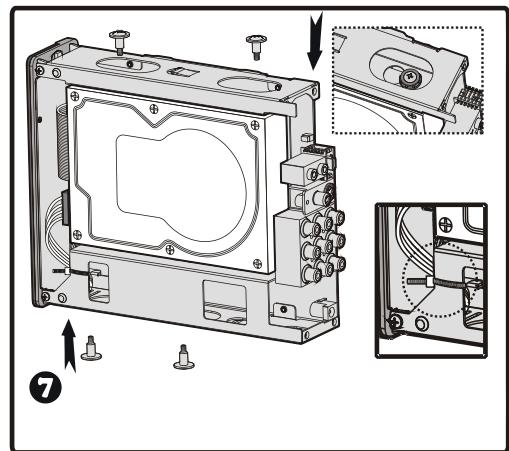 PEEKTON PEEKBOX 100 - Installation du disque dur (Suite) - 4