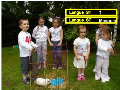 PEEKTON PEEKBOX 2 - Changement de laaille des sous-titres. - 1