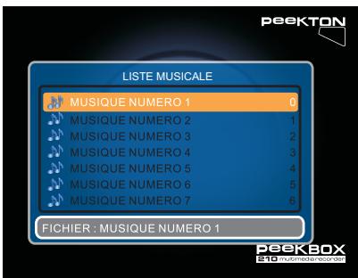 PEEKTON PEEKBOX 210 - Menu MUSIQUE - 1