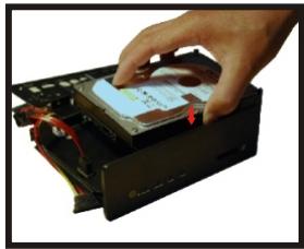 PEEKTON PEEKBOX 44 - Installation du disque dur - 5