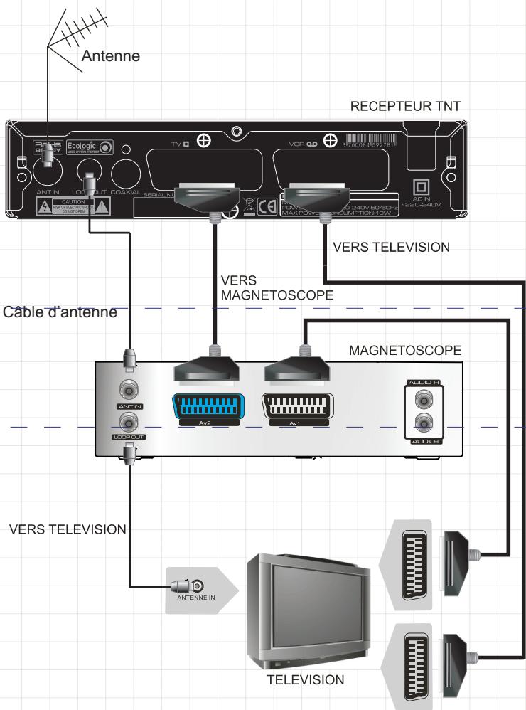 PEEKTON PK 1260 TNT - Connexions - 1