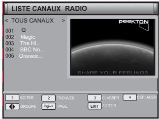 PEEKTON PK 1260 TNT - LISTE CANAUX RADIO - 1