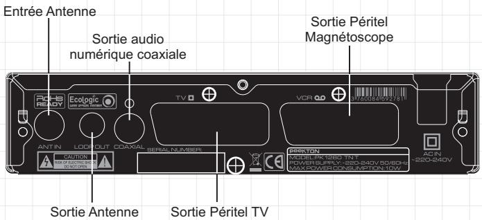 PEEKTON PK 1260 TNT - Panneau arrête - 1
