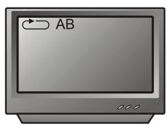 PEEKTON PK 6005 - Fonction A-B - 3