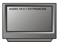 PEEKTON PK 6005 - Fonction AUDIO - 4