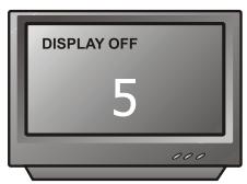 PEEKTON PK 6005 - AffichageInfosécran (DISPLAY) - 11
