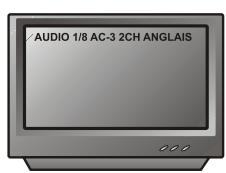 PEEKTON PK 6005 - Fonction AUDIO - 2