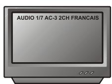 PEEKTON PK 6005 - Fonction AUDIO - 3