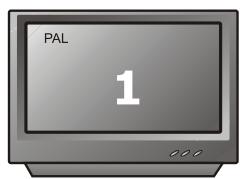 PEEKTON PK 6022 - Sélection du type de standard TV - 2