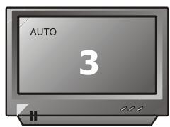 PEEKTON PK 6022 - Sélection du type de standard TV - 4