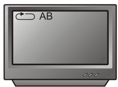 PEEKTON PK 6022 - Fonction A-B - 3
