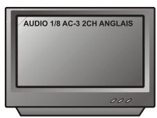 PEEKTON PK 6023 - Fonction AUDIO - 2