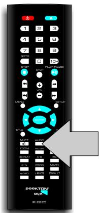 PEEKTON PK 6023 - Fonction AUDIO - 1