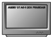 PEEKTON PK 6700 HDMI - Fonction AUDIO - 3
