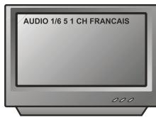 PEEKTON PK 6740 HDMI - Fonction AUDIO - 3