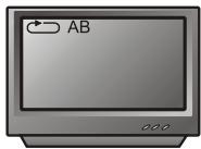 PEEKTON PK 8005 - Fonction A-B - 3