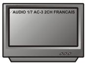 PEEKTON PK 8005 - Fonction AUDIO - 3