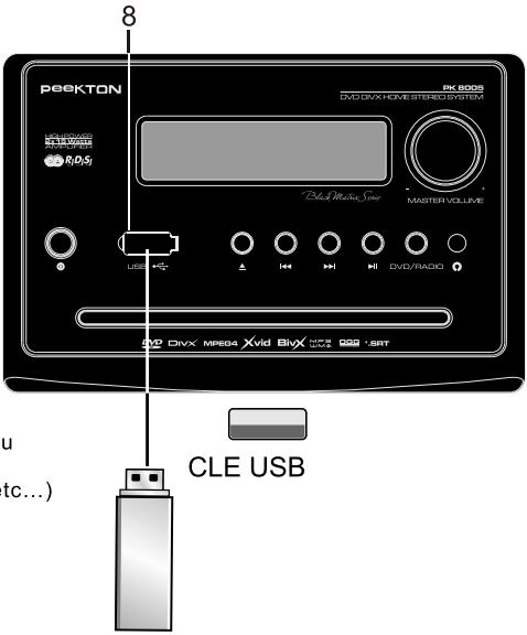PEEKTON PK 8005 - Lecture d'une clé USB - 2