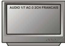 PEEKTON PK 8006 - Fonction AUDIO - 3