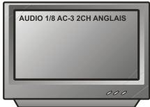 PEEKTON PK 8006 - Fonction AUDIO - 2