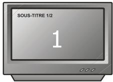 PEEKTON PK 8006 - Fonction SOUS-TITRE - 2