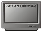 PEEKTON PK 8010 - Fonction AUDIO - 3
