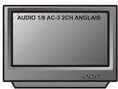PEEKTON PK 8010 - Fonction AUDIO - 2